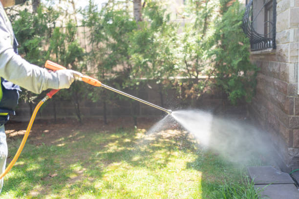 Best Pest Inspection Near Me  in Springdale, NC
